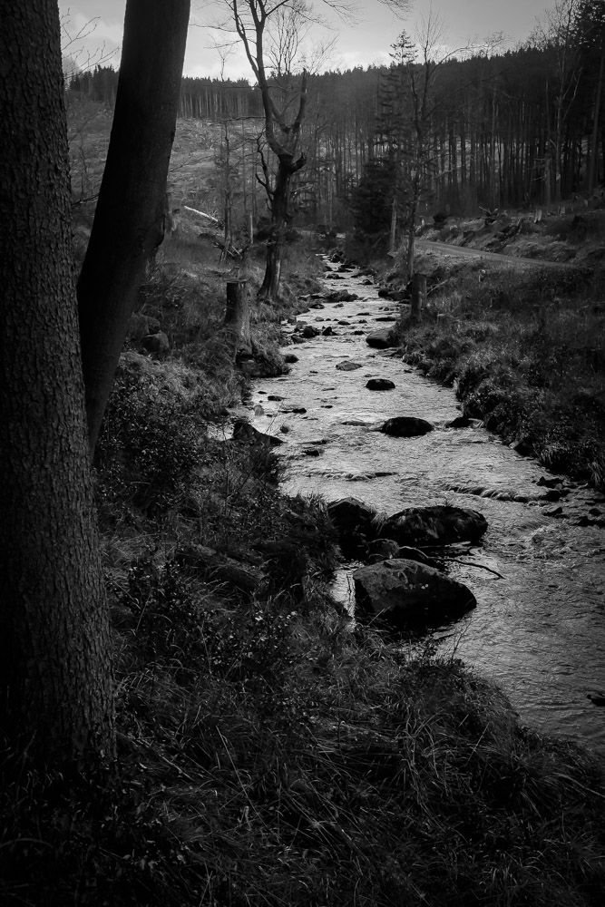 Harz_02